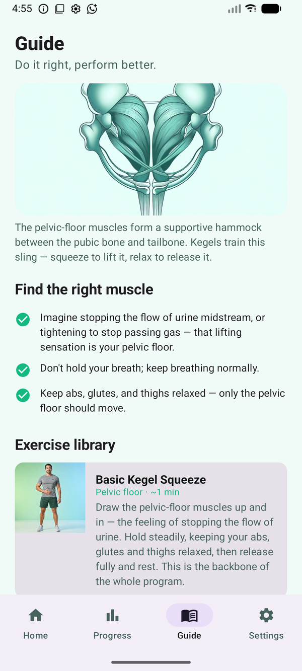 Find the right muscle